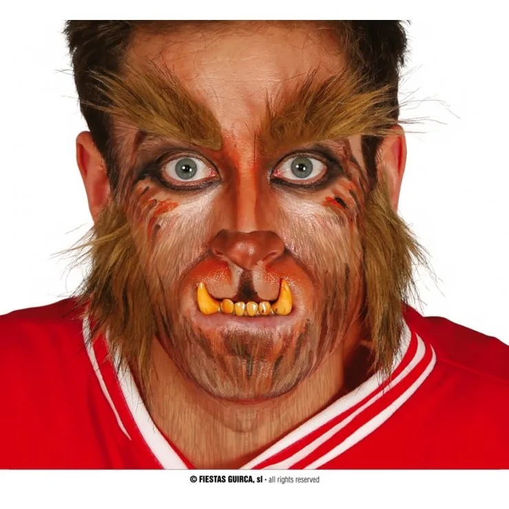 Dents de loup-garou adulte