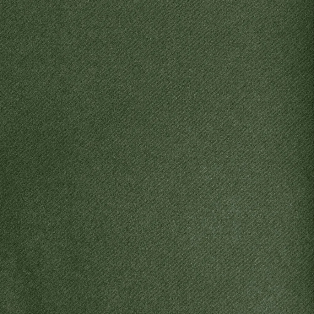 Nappe en rouleau intissé vert sapin 1,20x50m - par 1